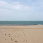 Apartment Beachfront Skyline Retreat